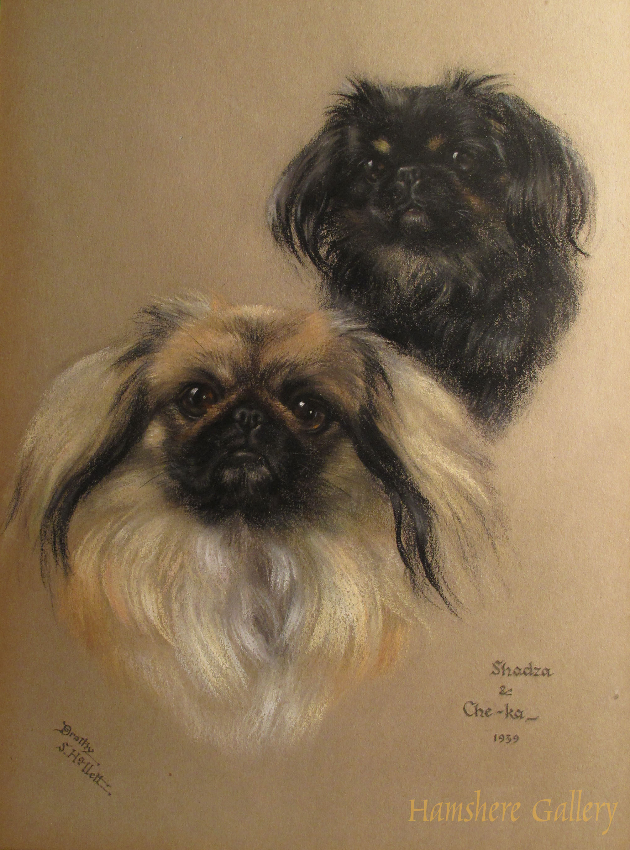 Click to see full size: The Pekingese “Shadza” and “Che-ka” by Miss Dorothy S Hallet