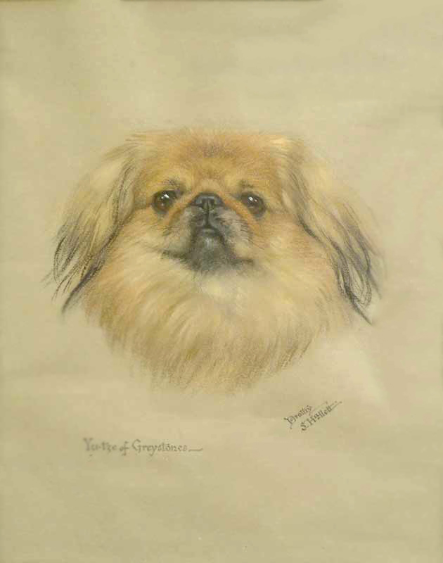 Click to see full size: Pekingese by Miss Dorothy S Hallett (fl 1913-1934)