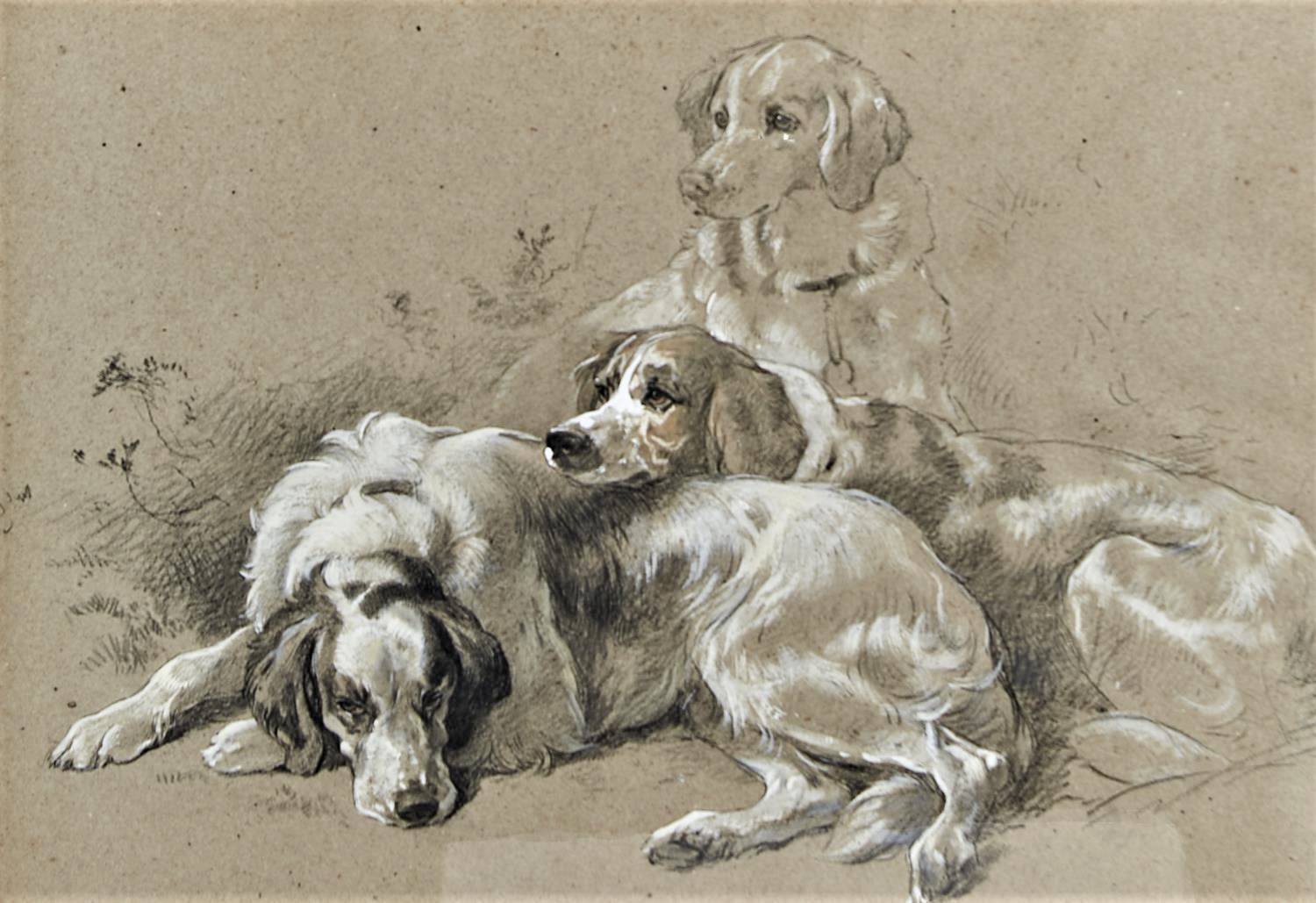 Click to see full size: A superb mid-19h chalk drawing of three alert English Setters resting after work
